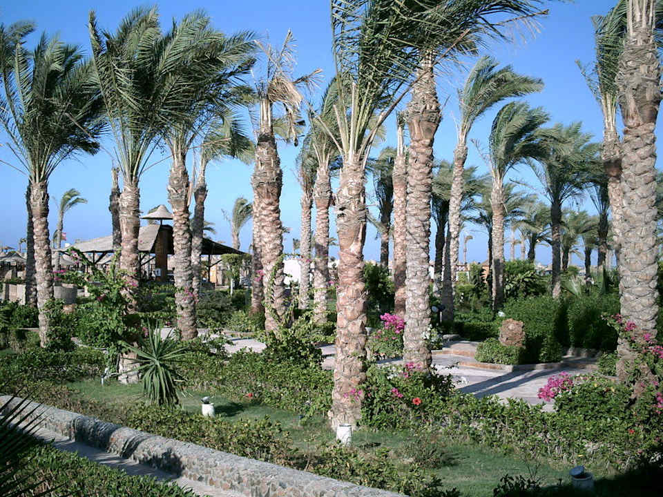 Gartenanlage Riviera Aqua Park Resort