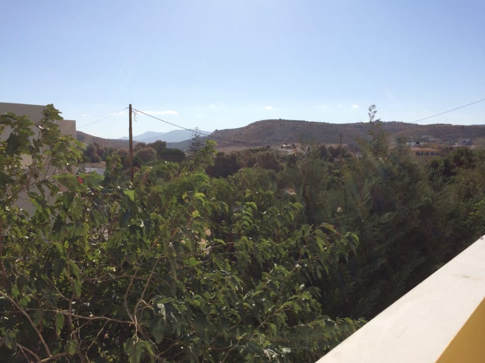 Ausblick Arsinoi Studios