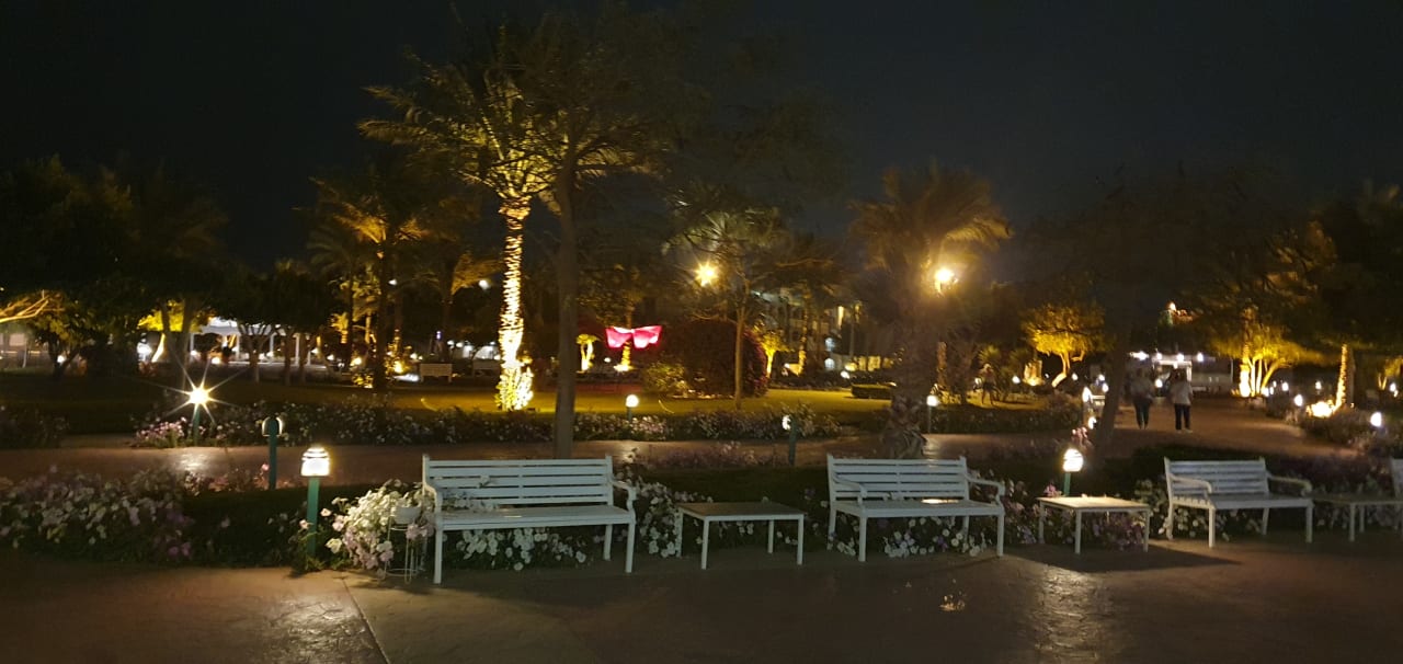 Sonstiges Desert Rose