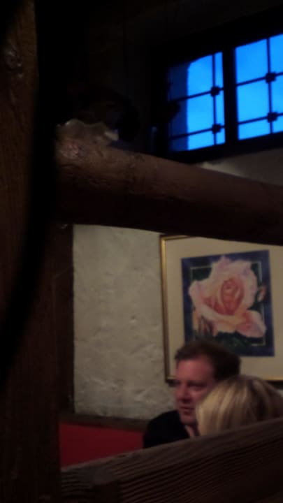 Dekoration im Restaurant ACTIVE by Leitner's|Natur&LifestyleHotel