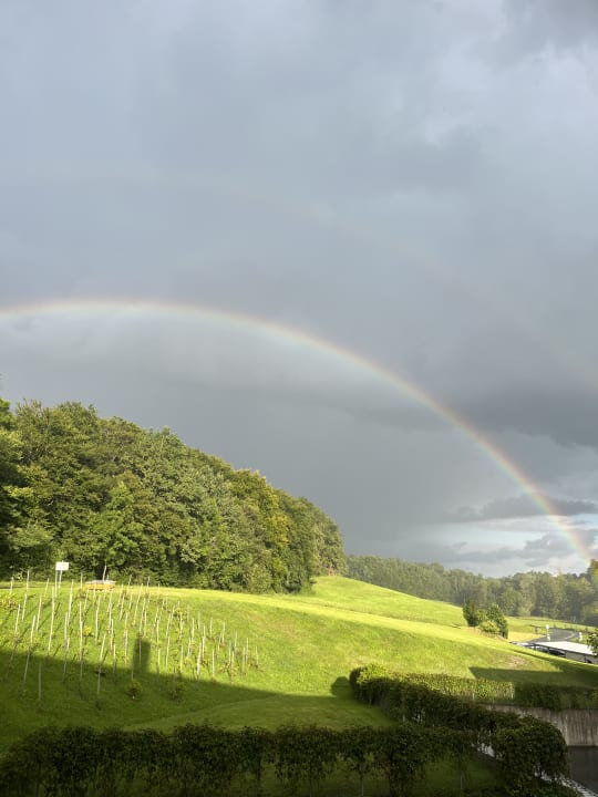 Ausblick LOISIUM Wine & Spa Hotel Südsteiermark