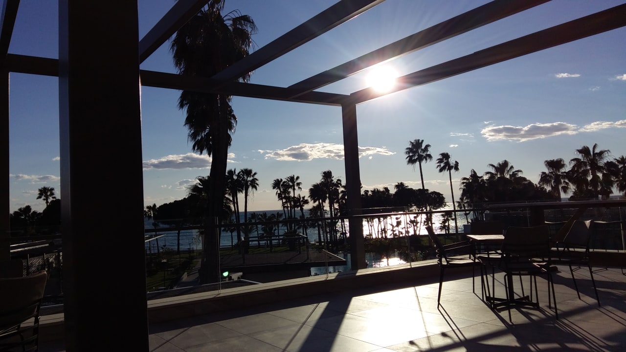 Gastro Acanthus Cennet Barut Collection