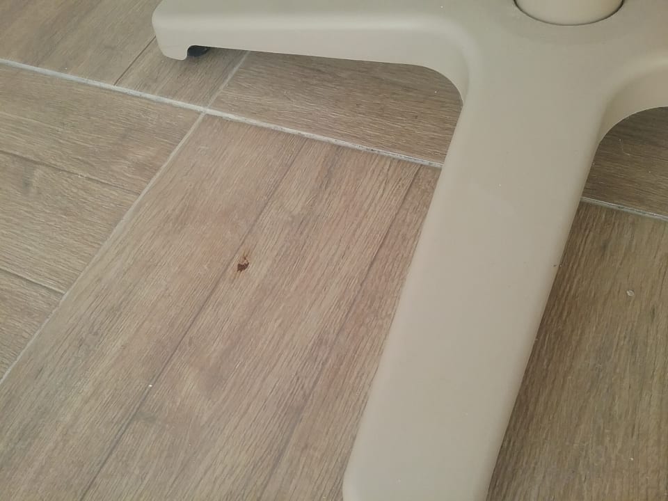 Außenansicht Royal Palm Resort & Spa - Adults only