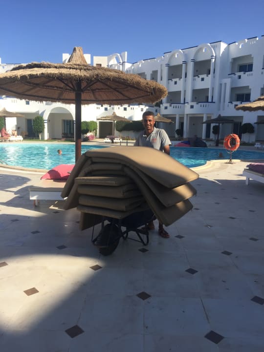 Pool Coral Sun Beach