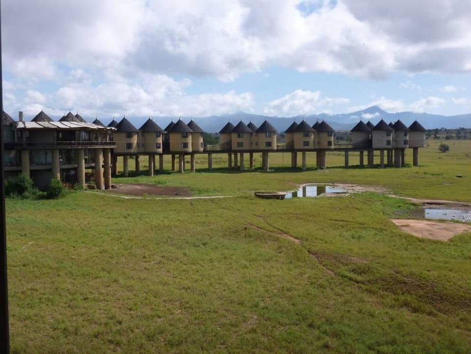 Letzter Blick aus dem Fenster Salt Lick Safari Lodge