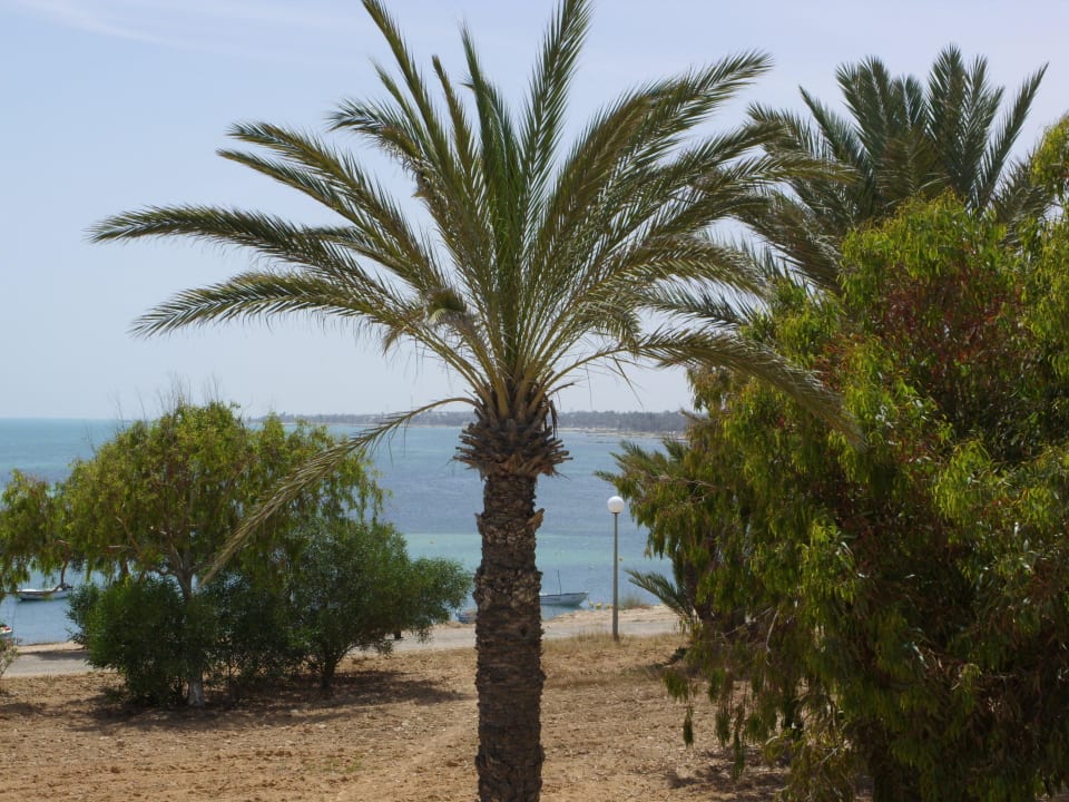 Bungalow Hotel El Mouradi Djerba Menzel