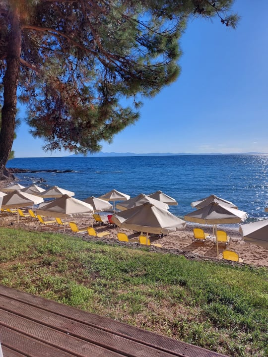 Strand Hotel Royal Paradise Beach Resort & Spa