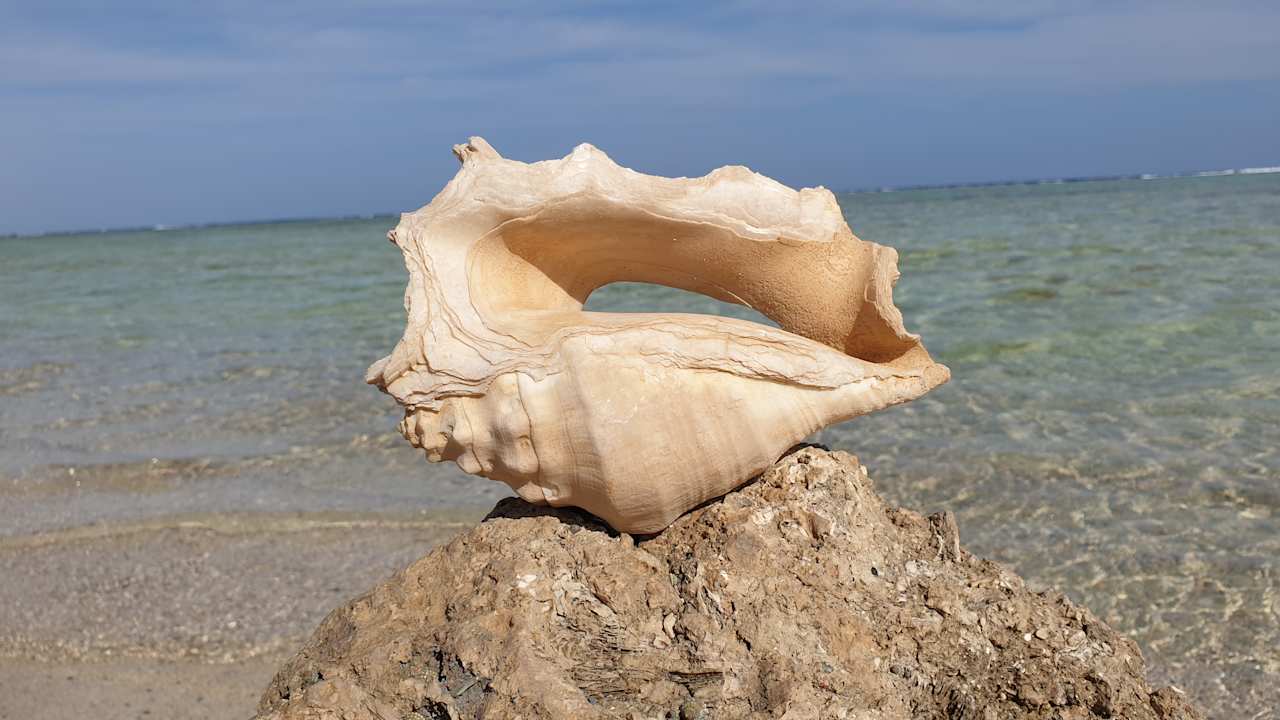 Strand Lazuli Hotel Marsa Alam