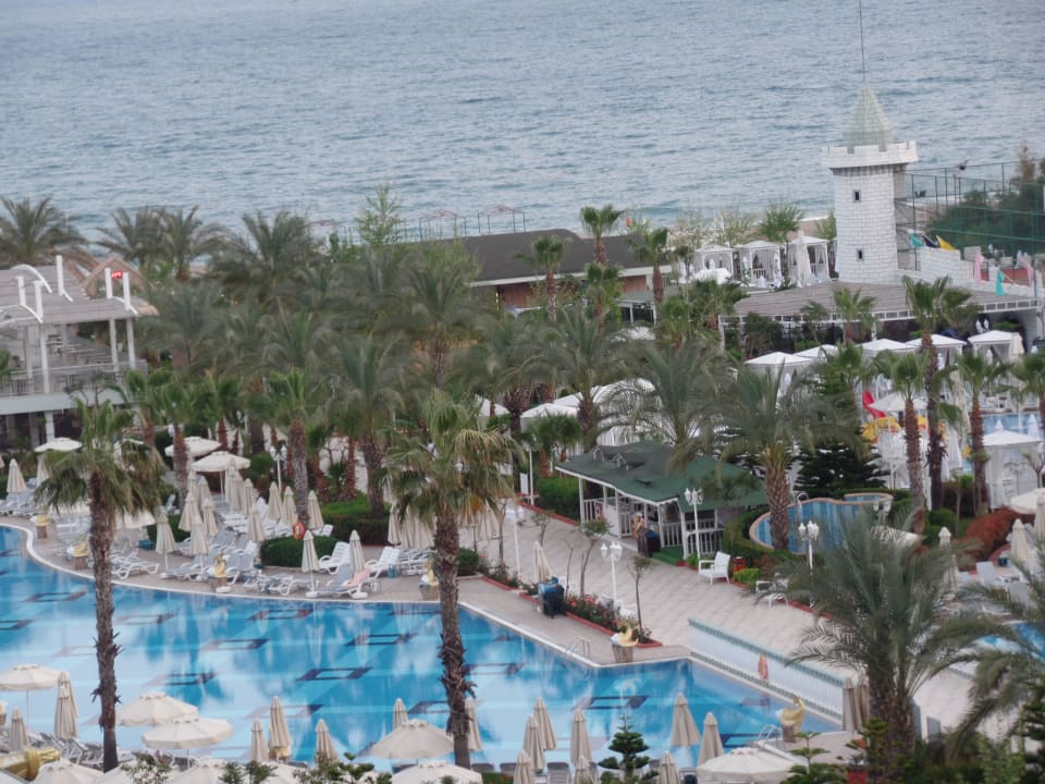 Pool Hotel Delphin Imperial