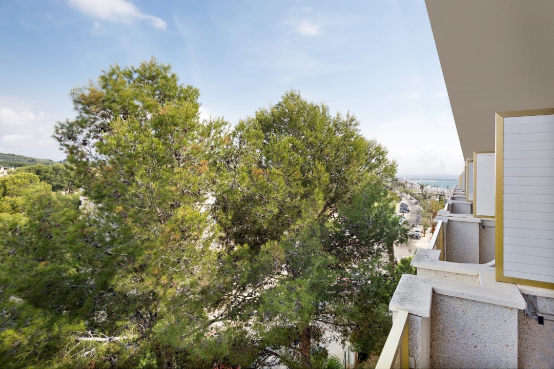 Ausblick Hotel Best Sol d'Or