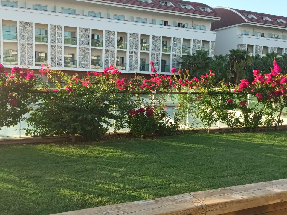 Außenansicht Sentido Trendy Verbena Beach