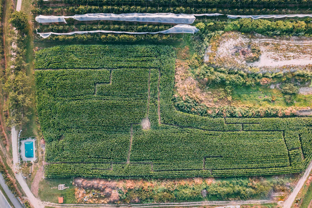 Sport & Freizeit Gut Hügle Erlebnisbauernhof