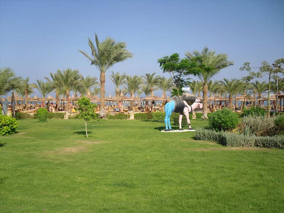 Gartenanlage Pickalbatros Palace Resort