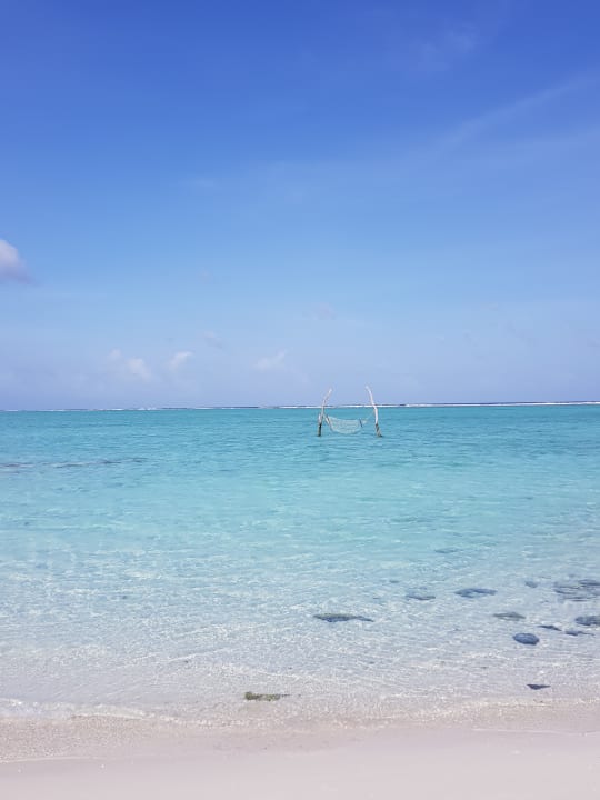 Strand Summer Island Maldives