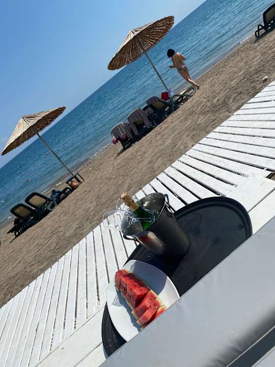 Strand Balmy Foresta