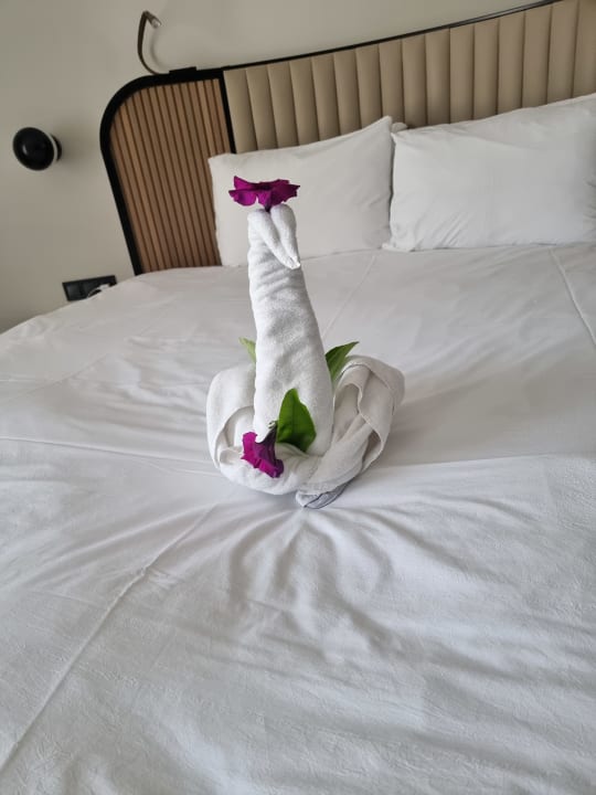 Zimmer Belek Beach Resort Hotel