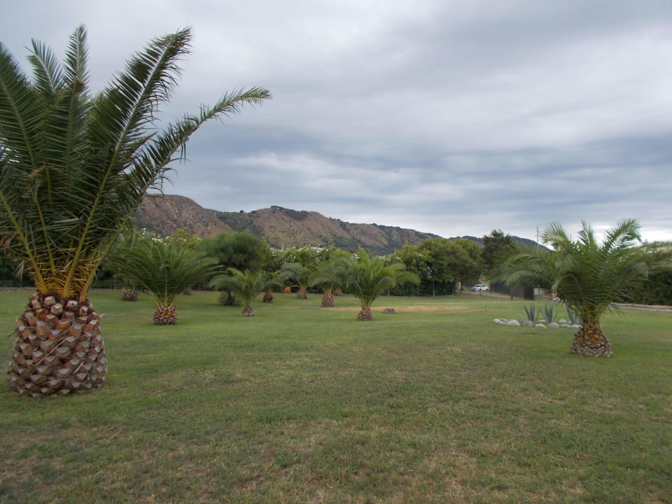 Garten Club Esse Sunbeach