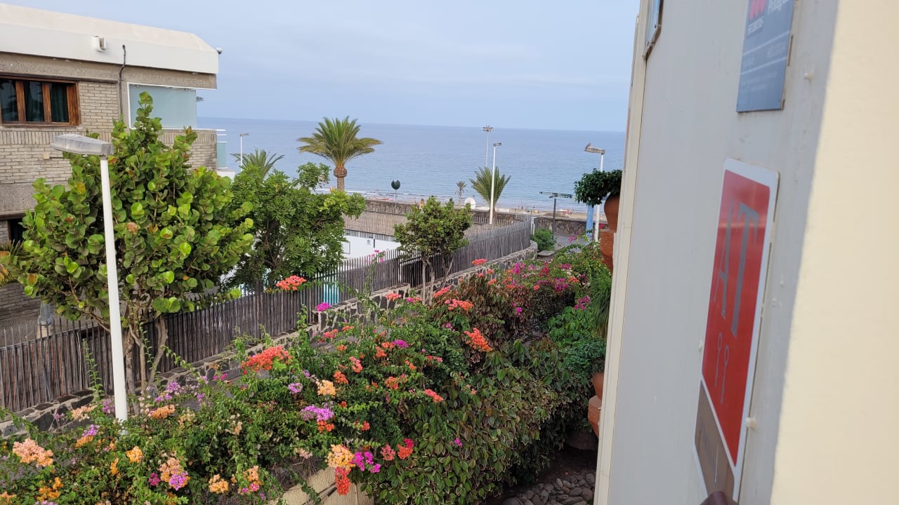 Ausblick Apartamentos Nogalera