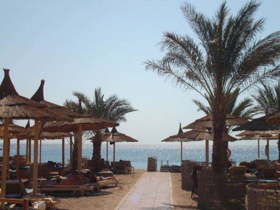 Strand Beach Albatros Beach Albatros Resort