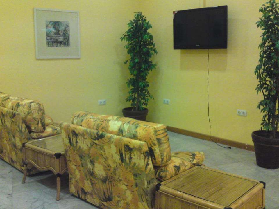 Fernsehzimmer in der Lobby Bull Escorial & Spa