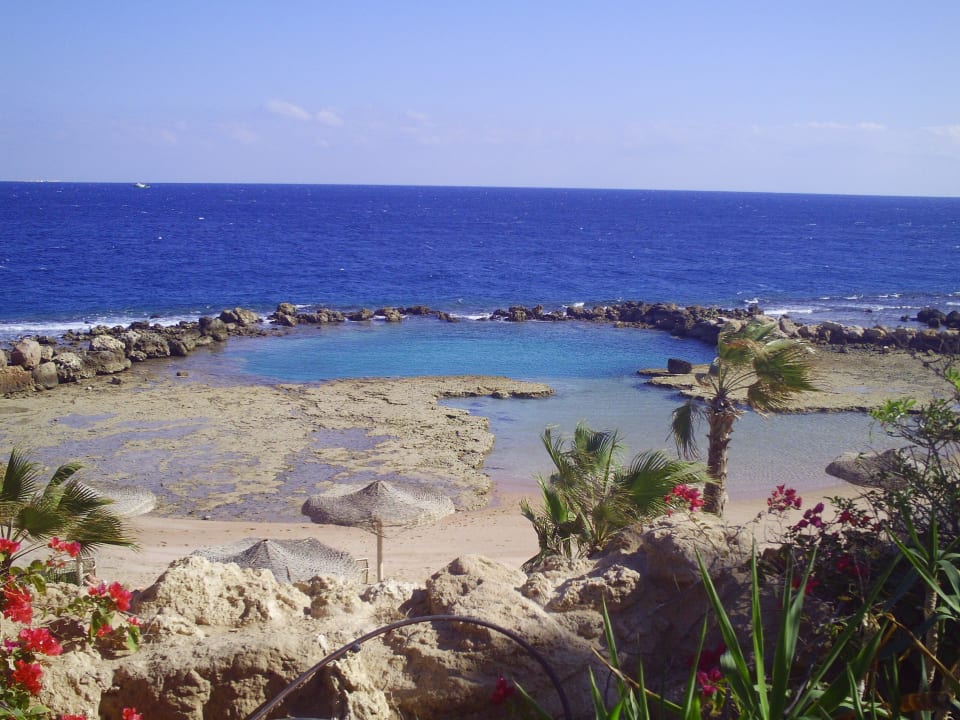 Пляж Pickalbatros Citadel Resort