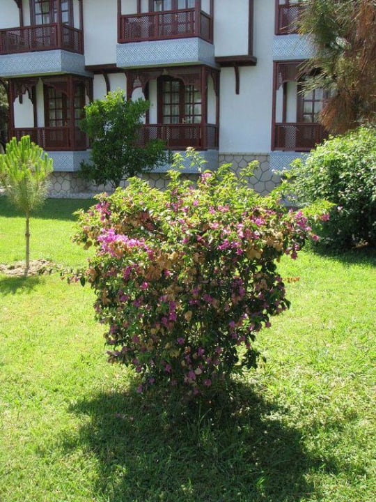 Hotelanlage Ali Bey Club