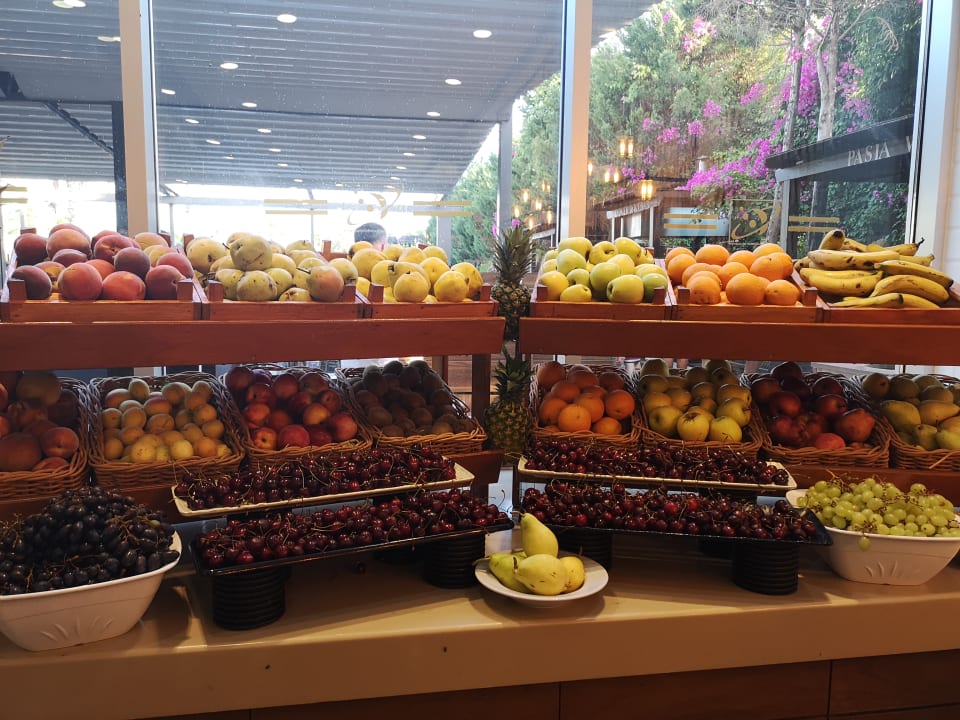 Gastro Saturn Palace Resort Hotel