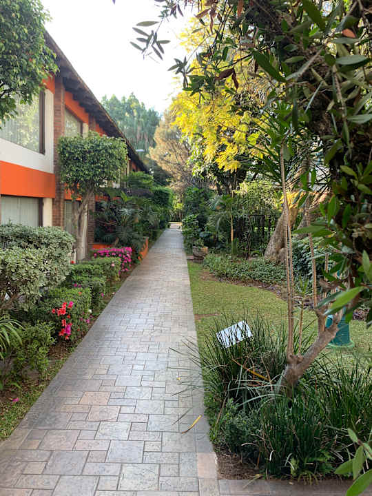 Gartenanlage Wyndham Garden Guadalajara Expo