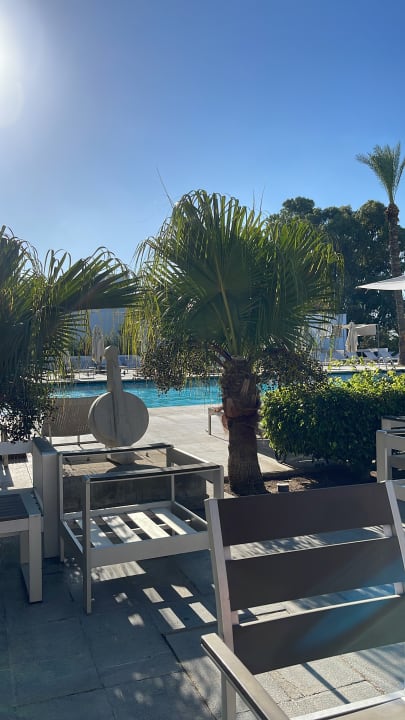 Pool The Orangers Beach Resort and Bungalows