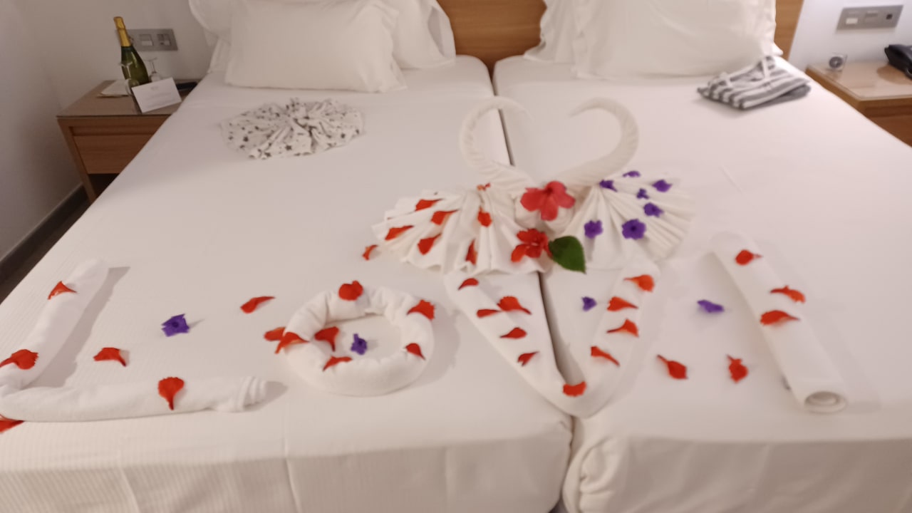 Zimmer Hotel Riu Palace Boavista