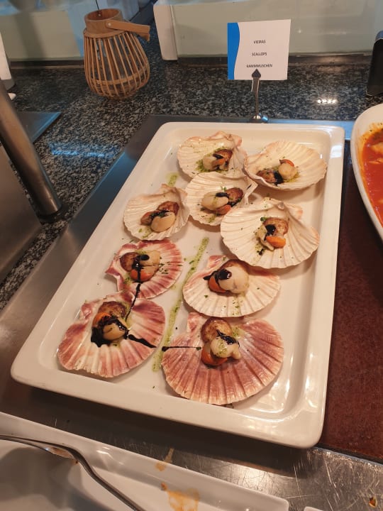 Gastro Sentido Fido Punta del Mar – Adults only