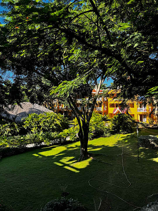 Außenansicht Hotel Viva Dominicus Palace by Wyndham-All Inclusive Resort