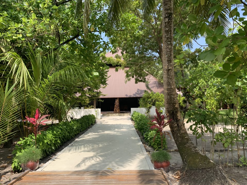 Garten Filitheyo Island Resort