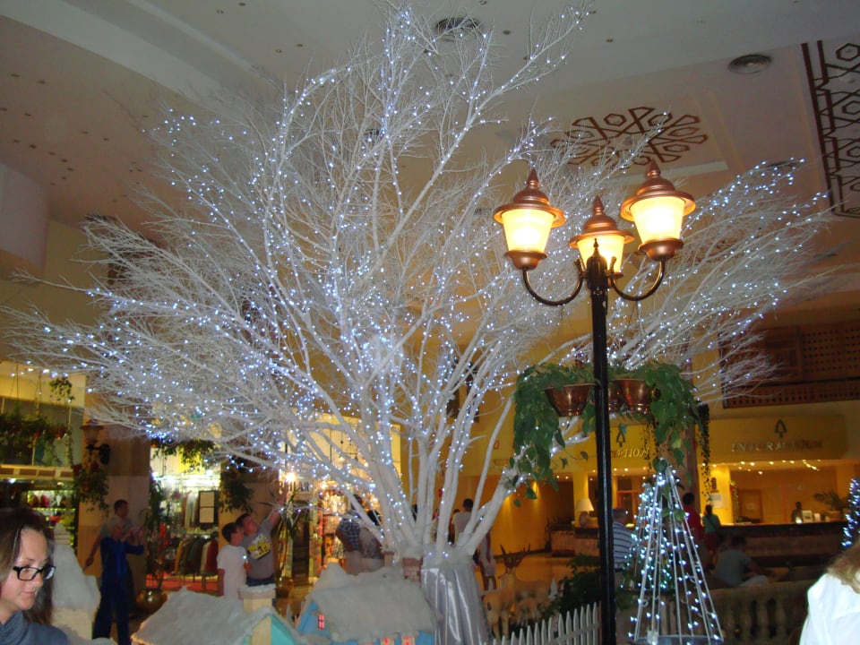 Es weihnachtet sehr Ali Baba Palace Hotel