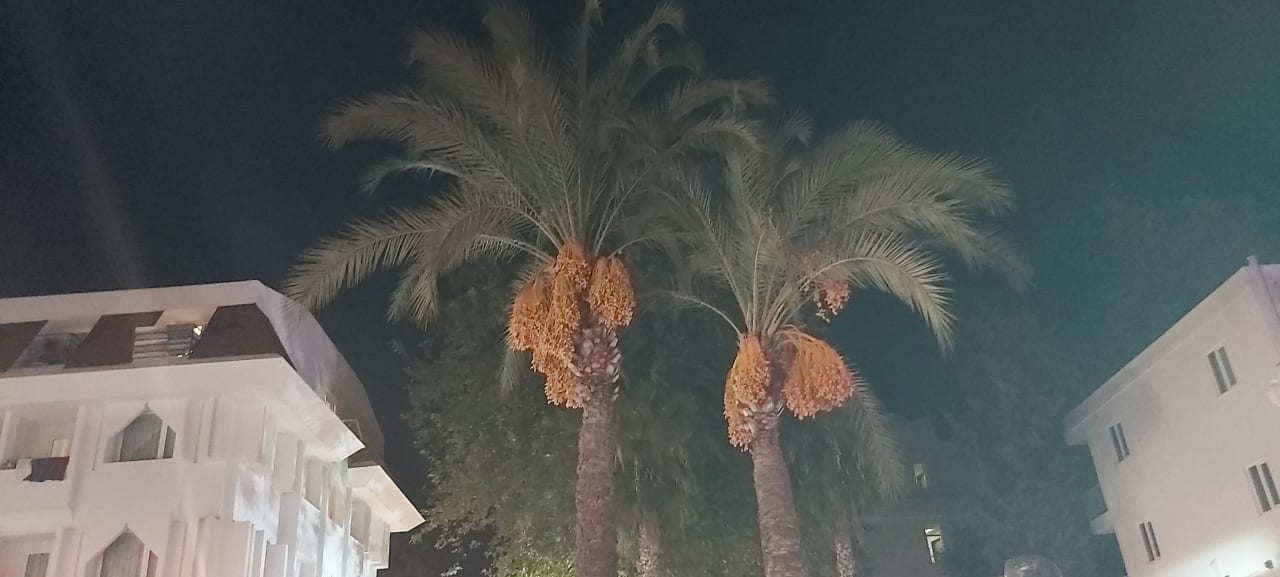 Außenansicht Ulusoy Kemer Holiday Club