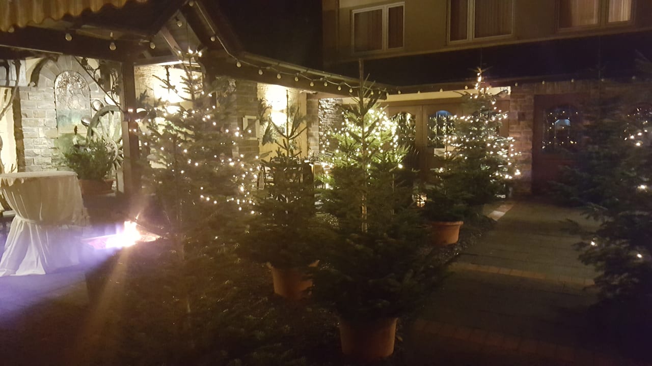 Weingarten bei abendlicher weihnachtlichen  Beleuchtung  Hotel Pistono