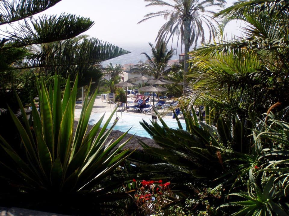 GARTENANLAGE allsun App.-Hotel Esquinzo Beach
