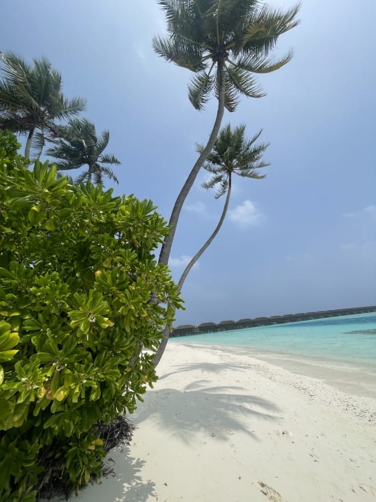 Strand Meeru Maldives Resort Island