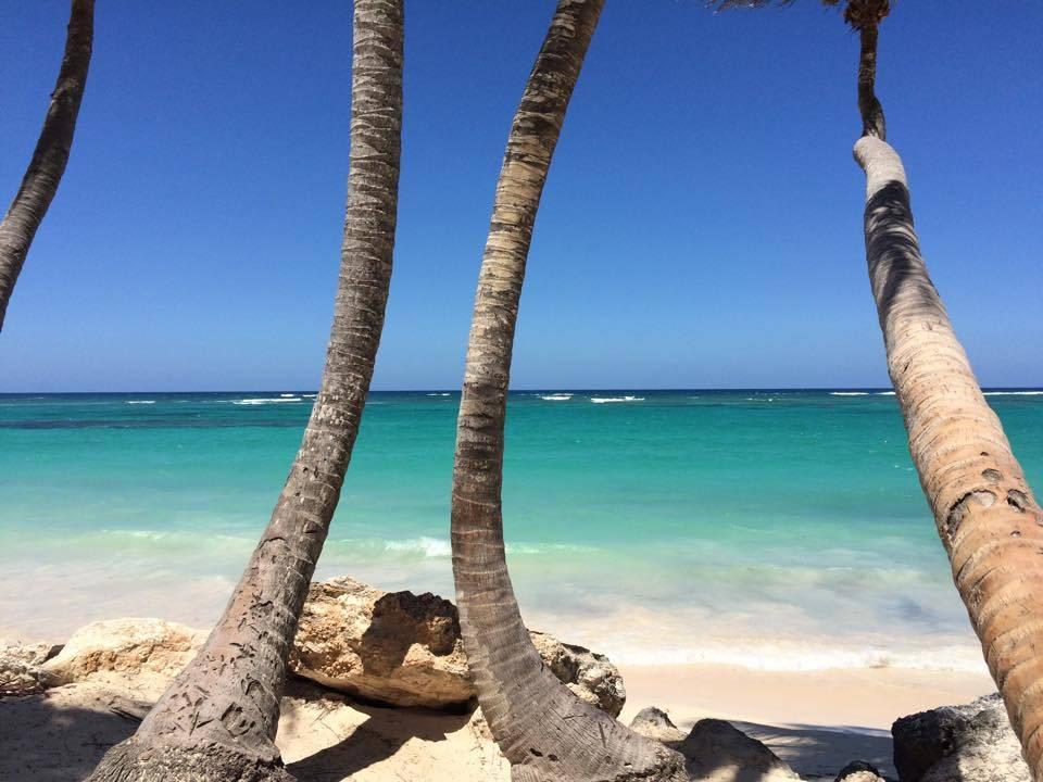 Coole Palmen Hotel Riu Palace Bavaro