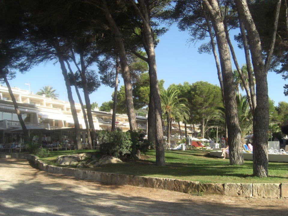 Garten und Restaurantterrasse (links) Iberostar Waves Pinos Park