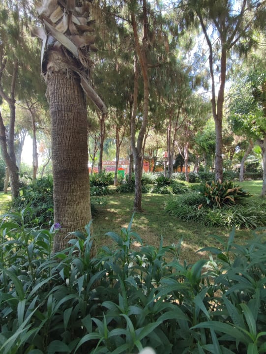 Gartenanlage Club Turtas Beach Hotel