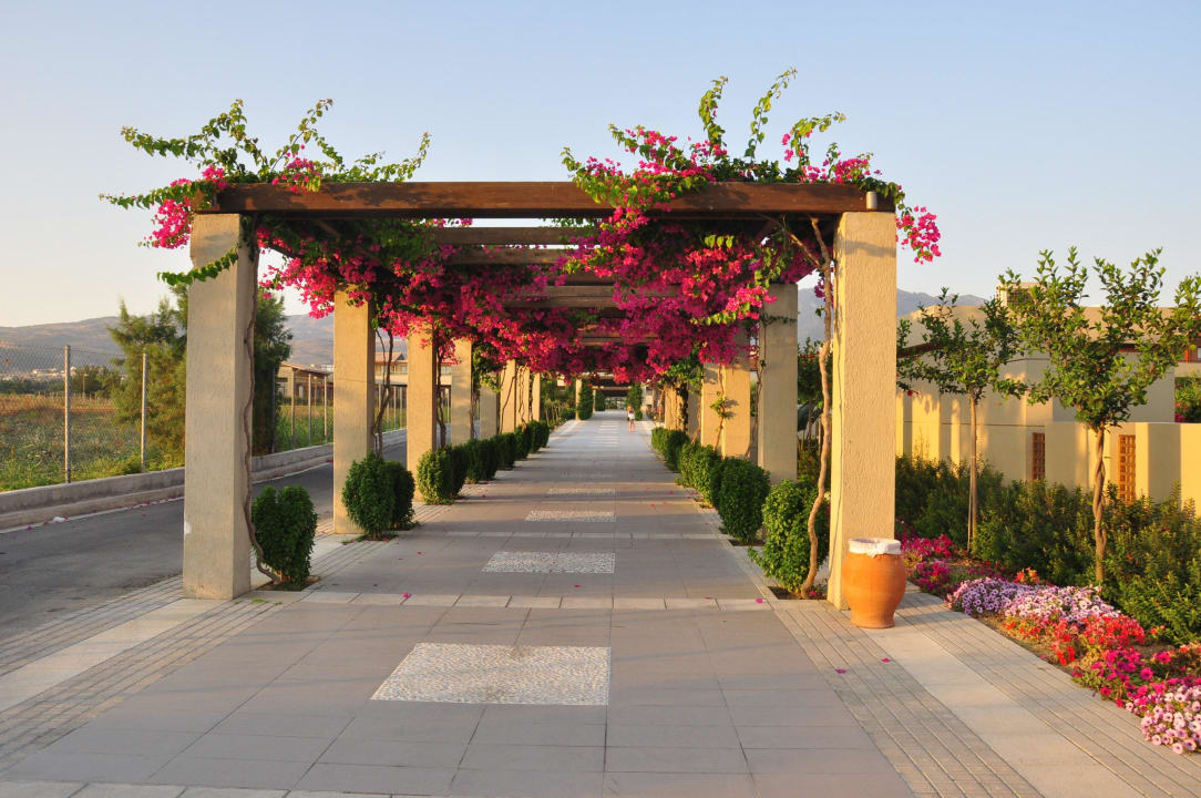 Aleja  Astir Odysseus Kos Resort & Spa