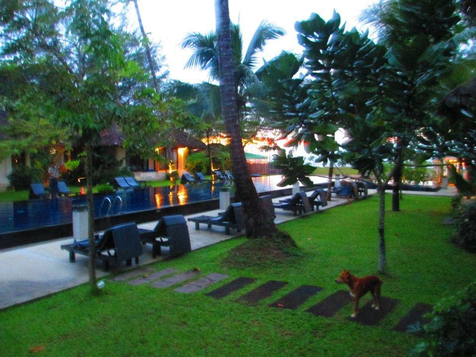 Mitbewohner Bangsak Village