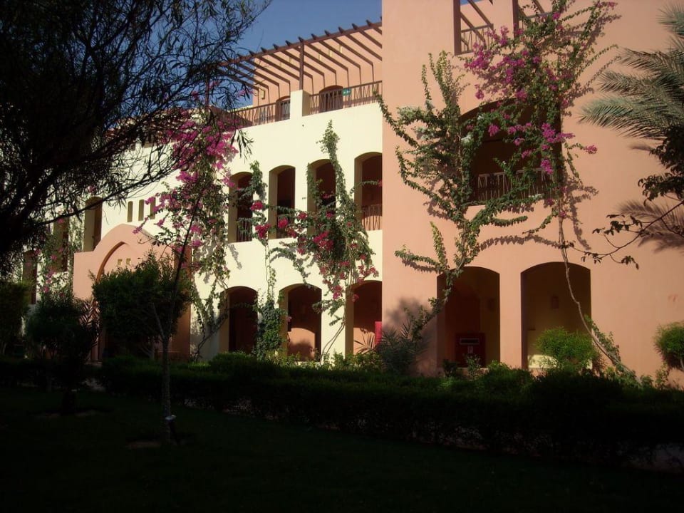 Makadi Oasis Jaz Makadi Oasis Resort