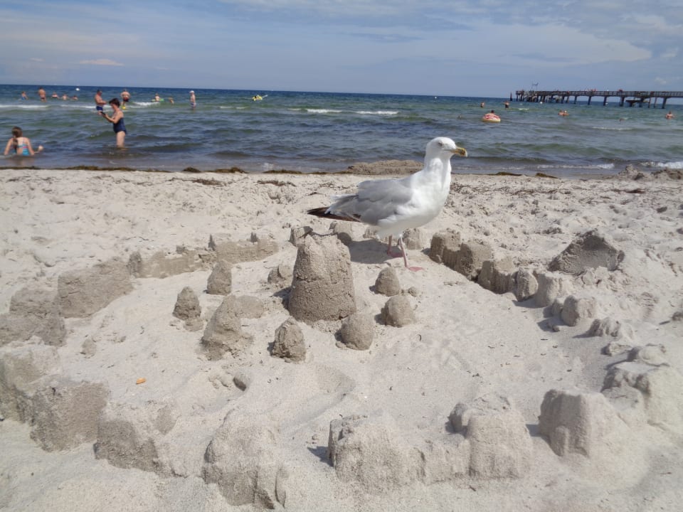 Strand Seehotel Großherzog von Mecklenburg