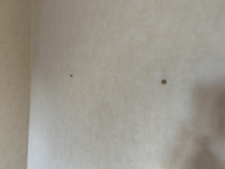 Zimmer Bergström Hotel Lüneburg