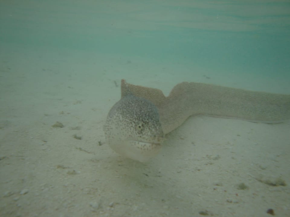 Muräne Adaaran Select Hudhuran Fushi - Premium All Inclusive