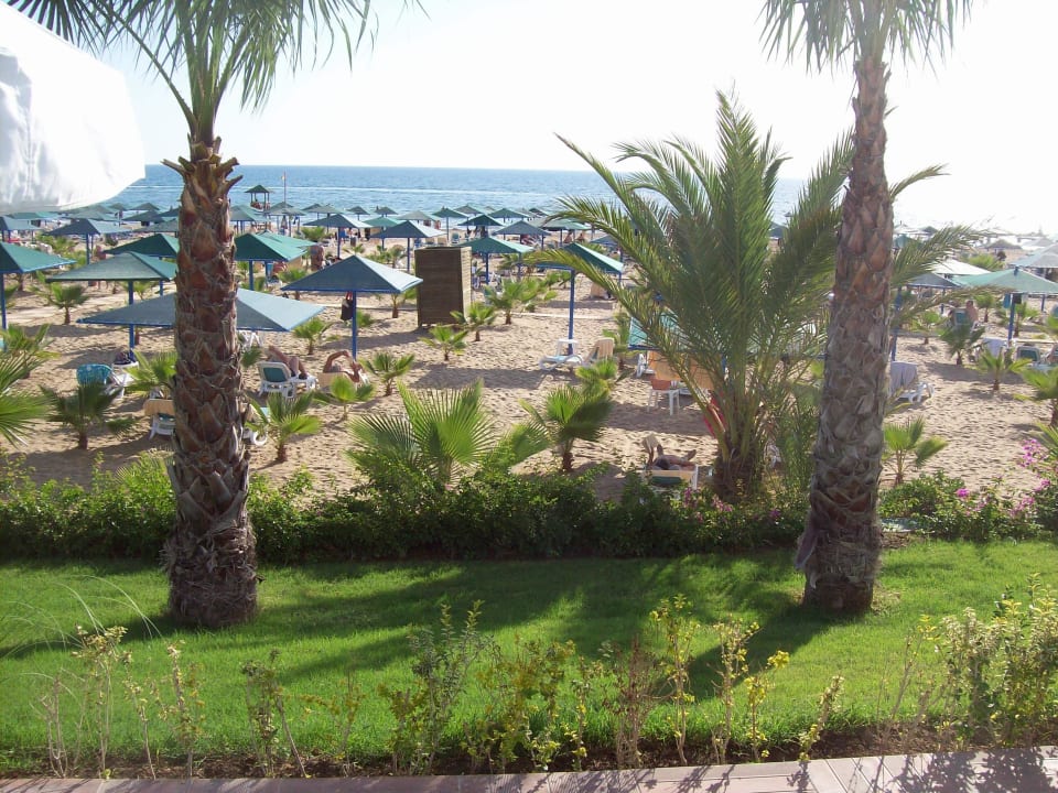 Strand Paloma Oceana