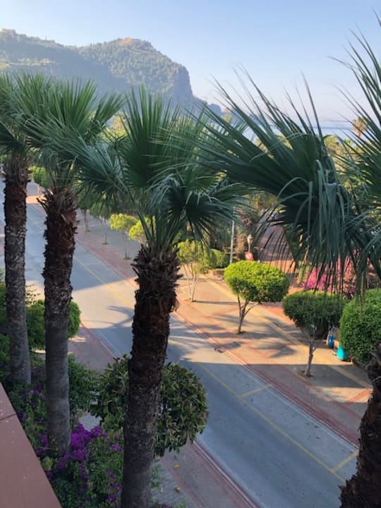 Ausblick Gardenia Hotel