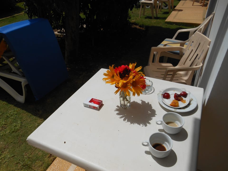Danke an den lieben Gärtner    Agadir Beach Club Hotel
